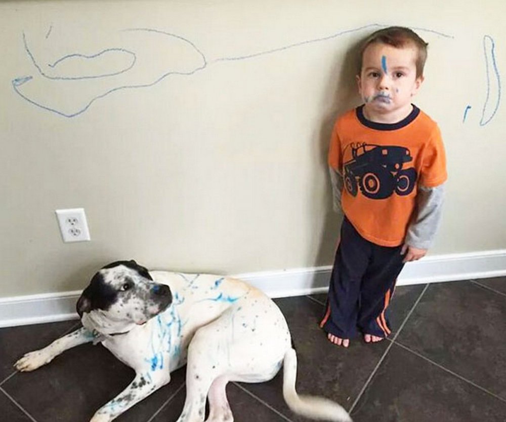 Дети разрисовали собаку