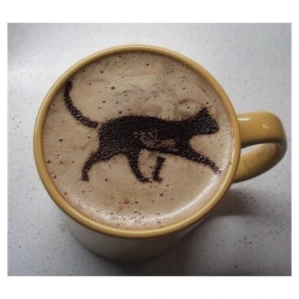 Кот и кофе