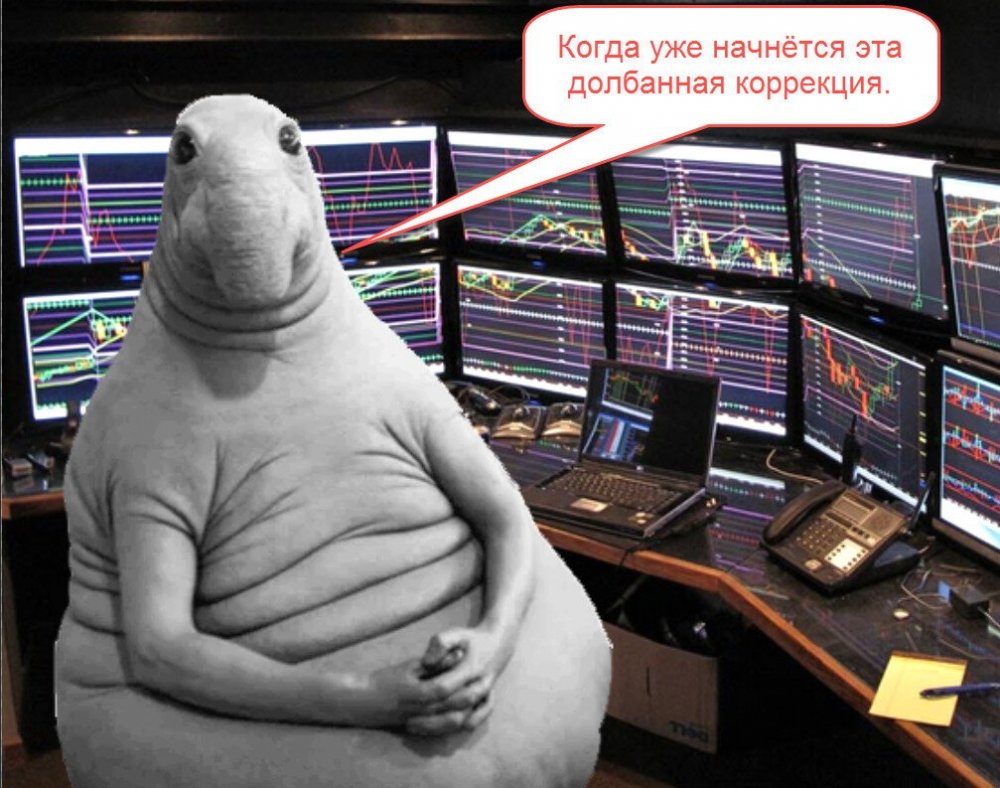 Мемы про фондовый рынок