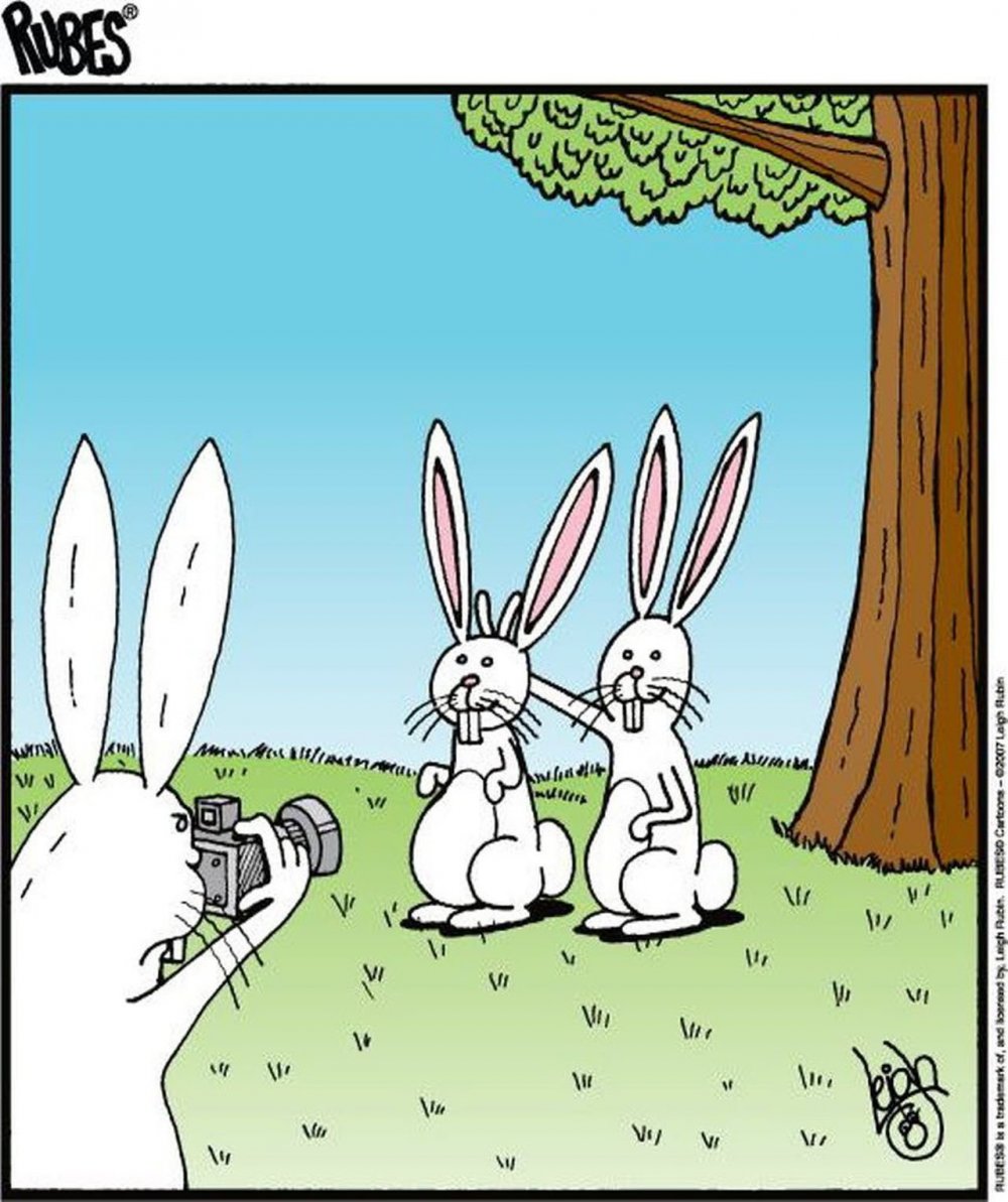 Шутки про зайца
