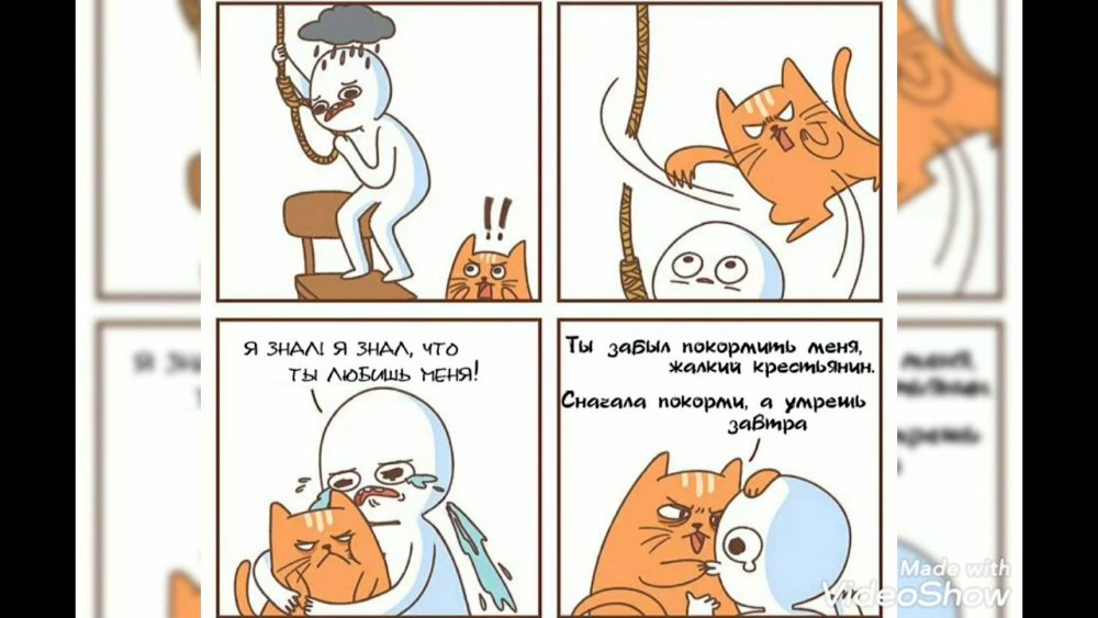 Мемы про котиков комиксы