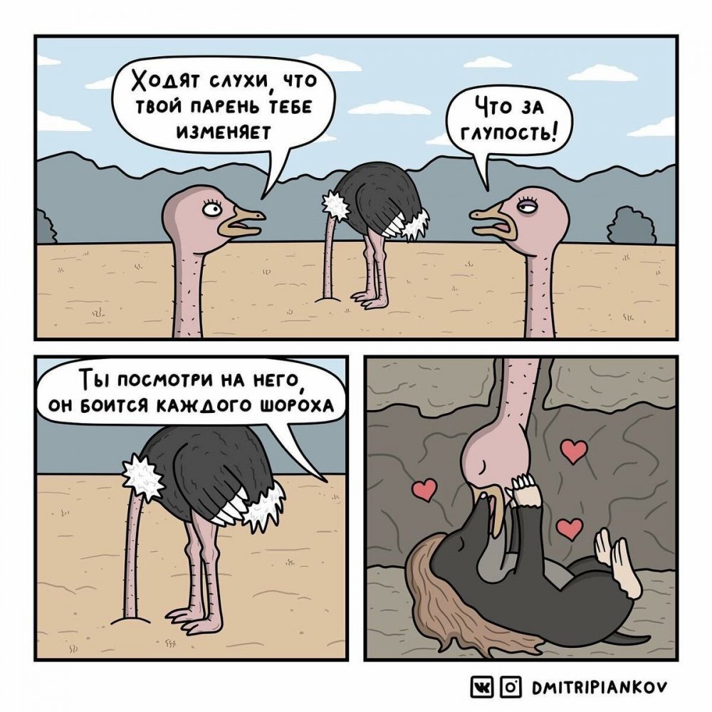 Анекдот про страусов
