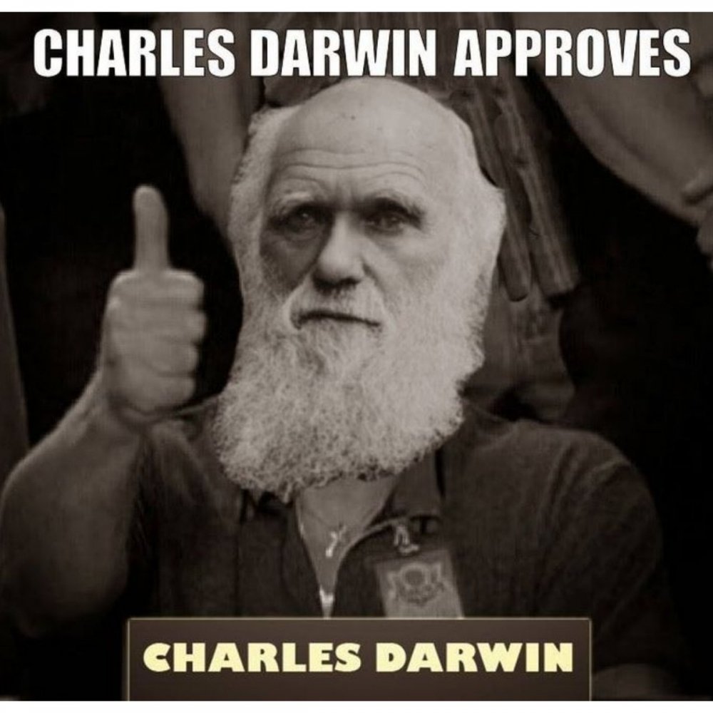 Чарльз Дарвин мемы