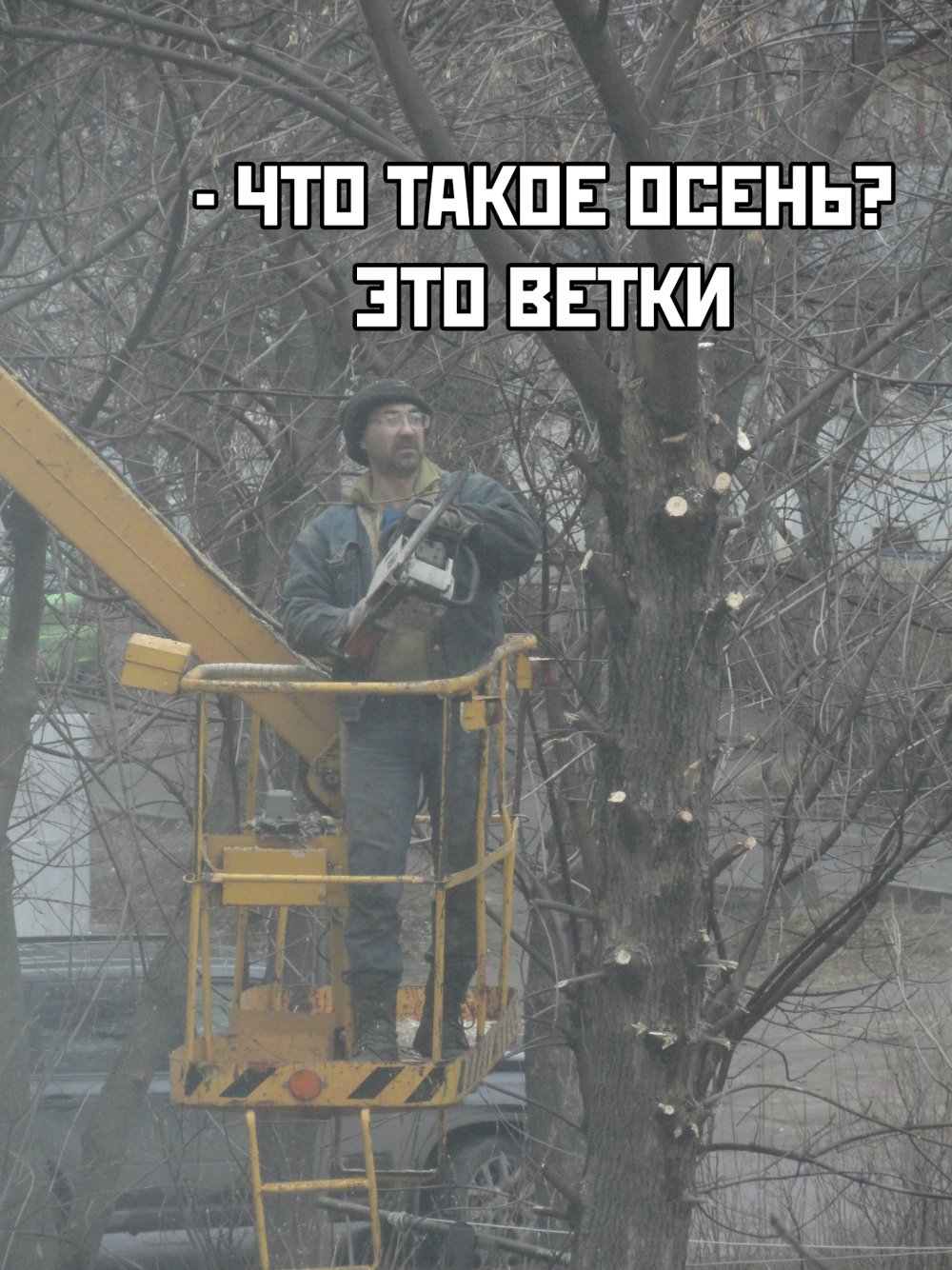 Юрий Шевчук пилит деревья