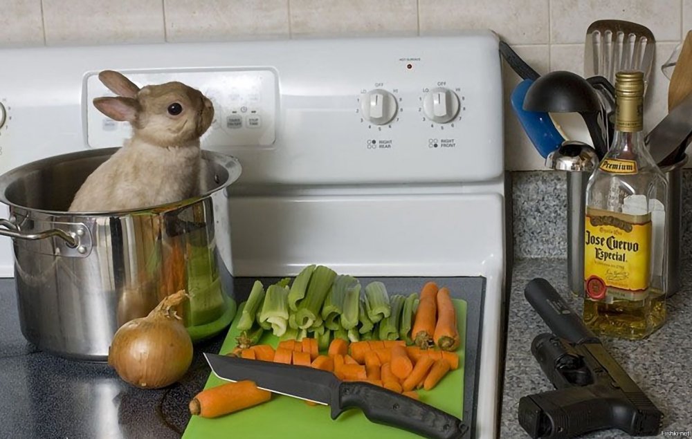 Кролик на кухне