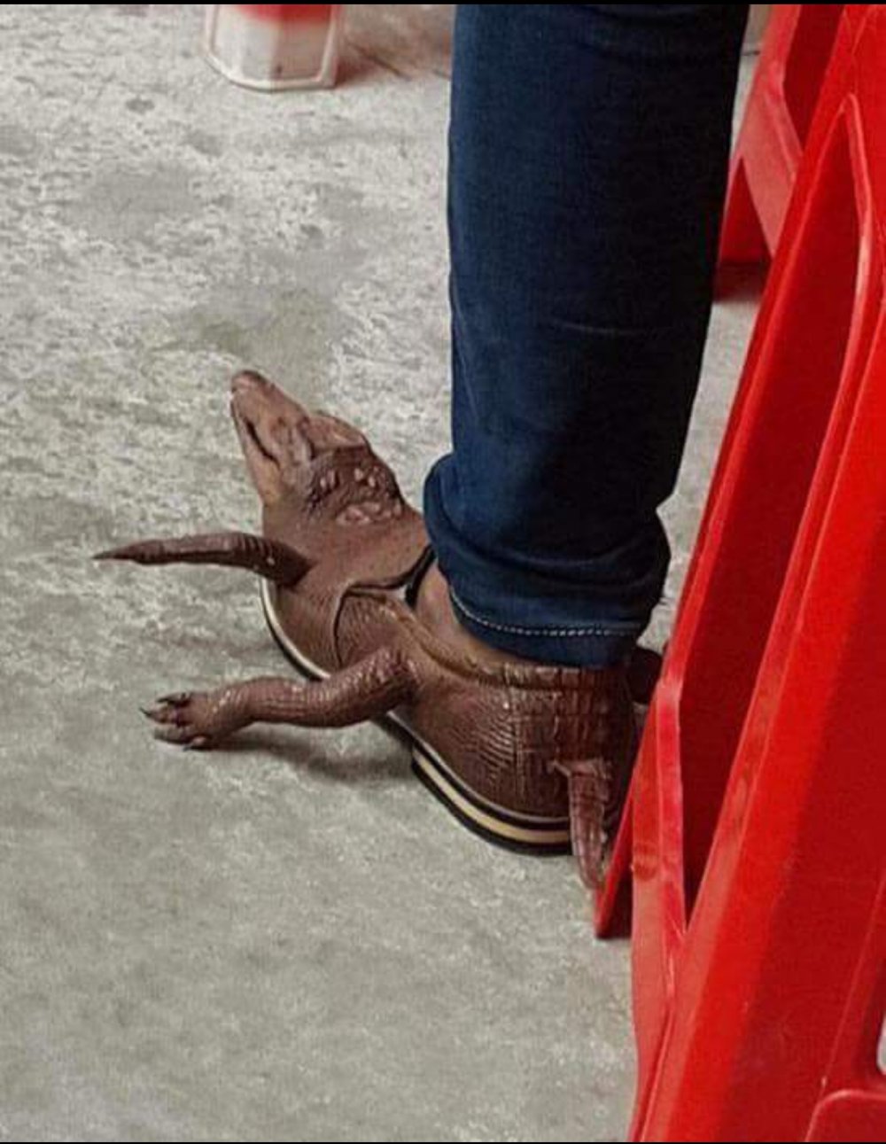 Туфли крокодилы с лапами