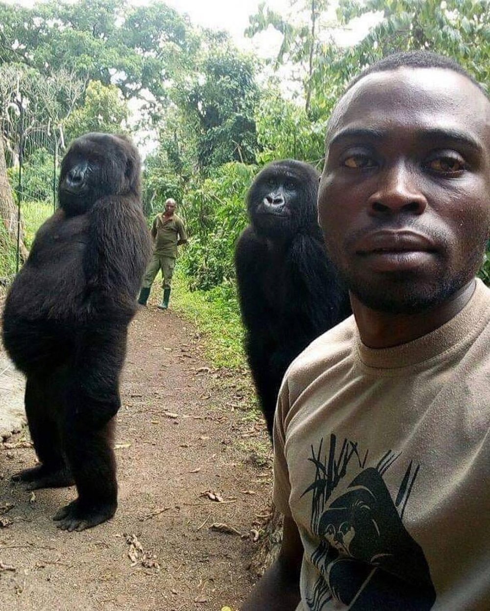 Работники парка в Конго селфи с гориллами