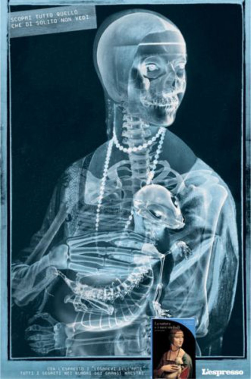 Забавные рентгеновские снимки