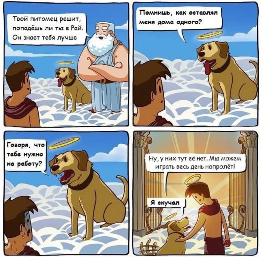 Анекдоты про собак смешные