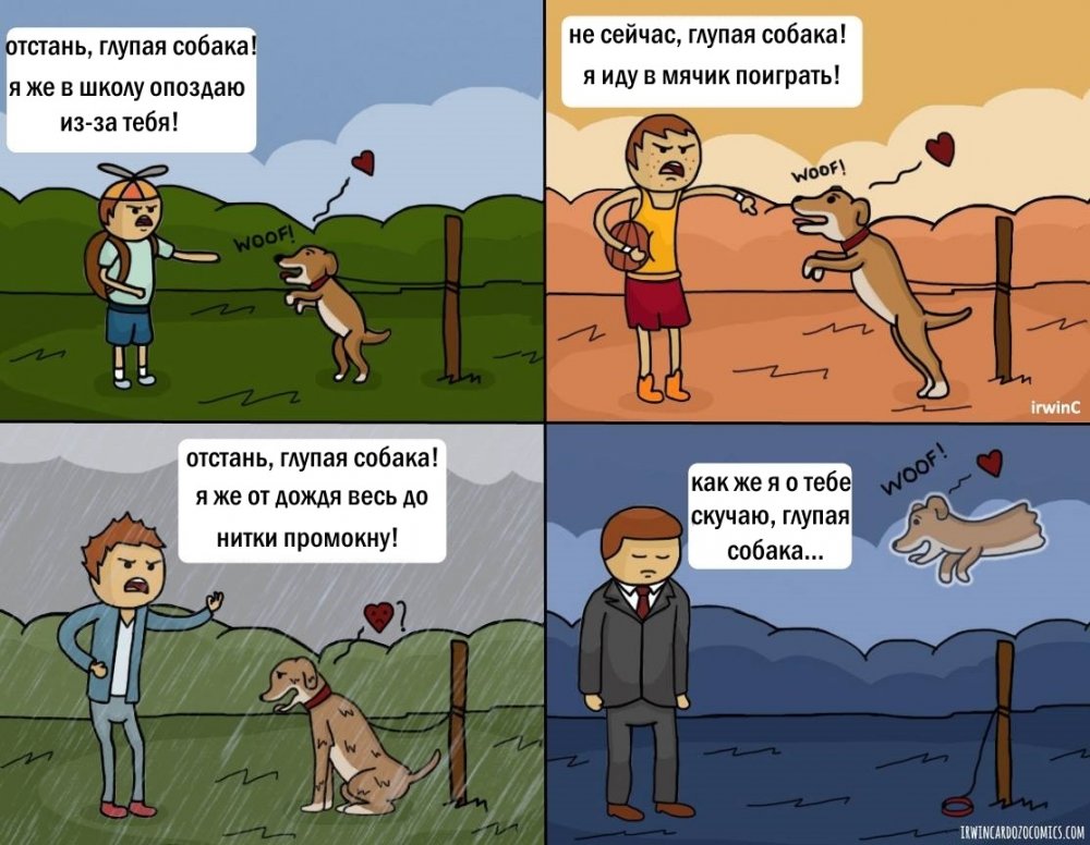 Мемы про собак