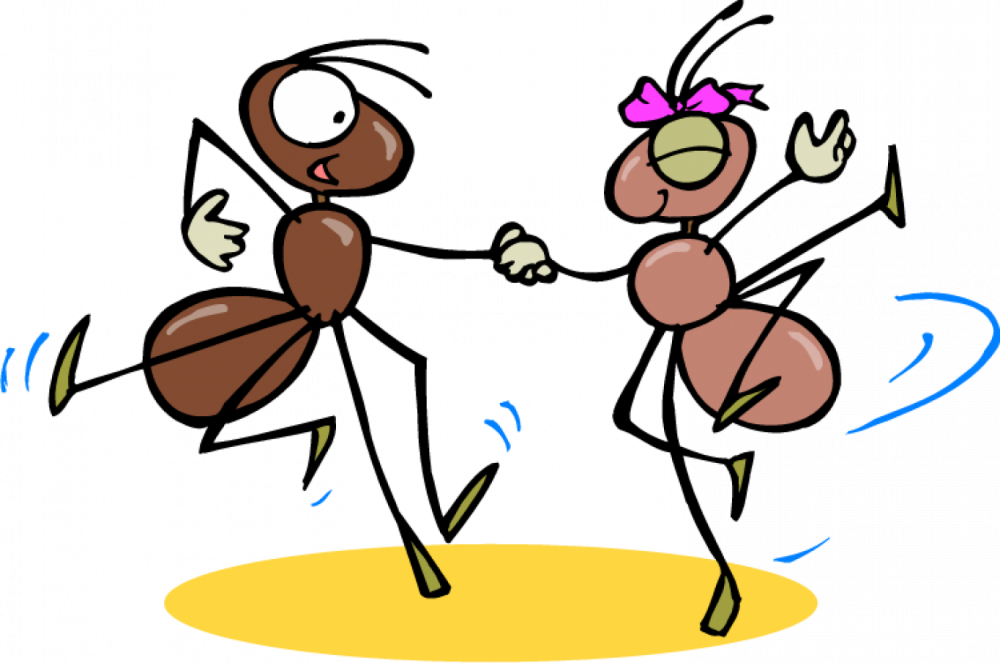 Веселые муравьишки