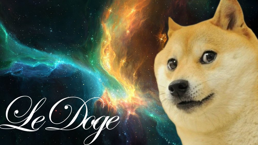 Doge в космосе