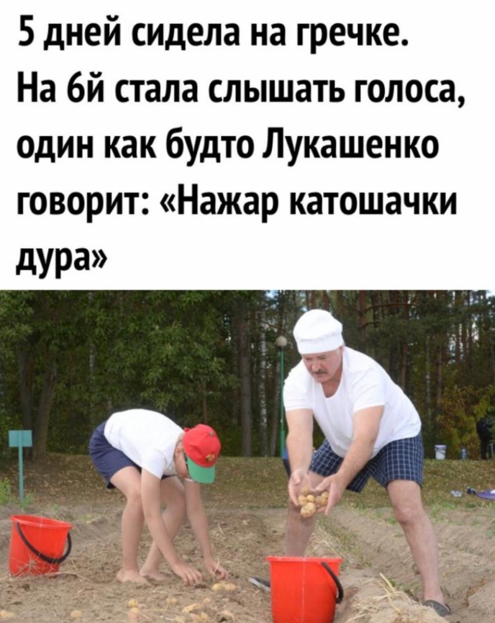 Пожарь картошечки Лукашенко