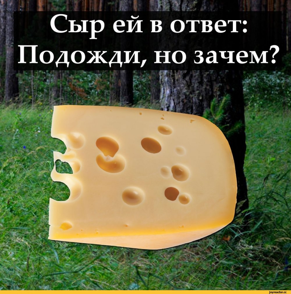 Шутки про сыр