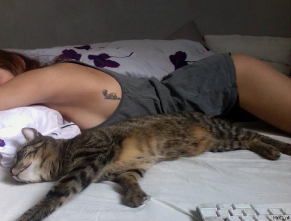 Девушка спит с котом