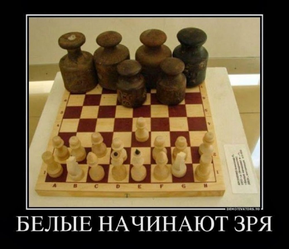Шахматы прикол