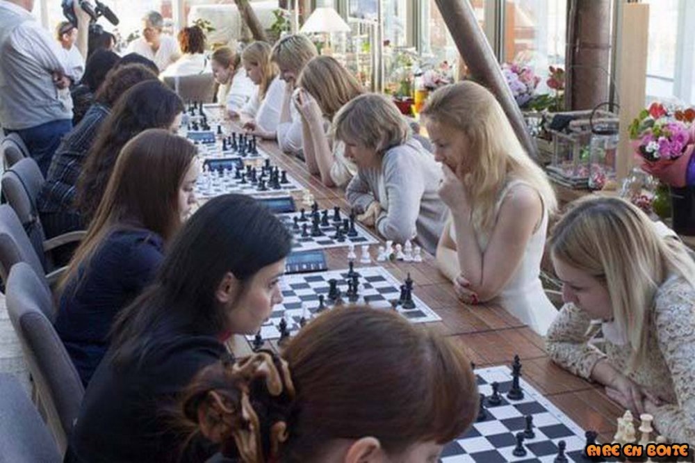 Блондинки против брюнеток шахматы