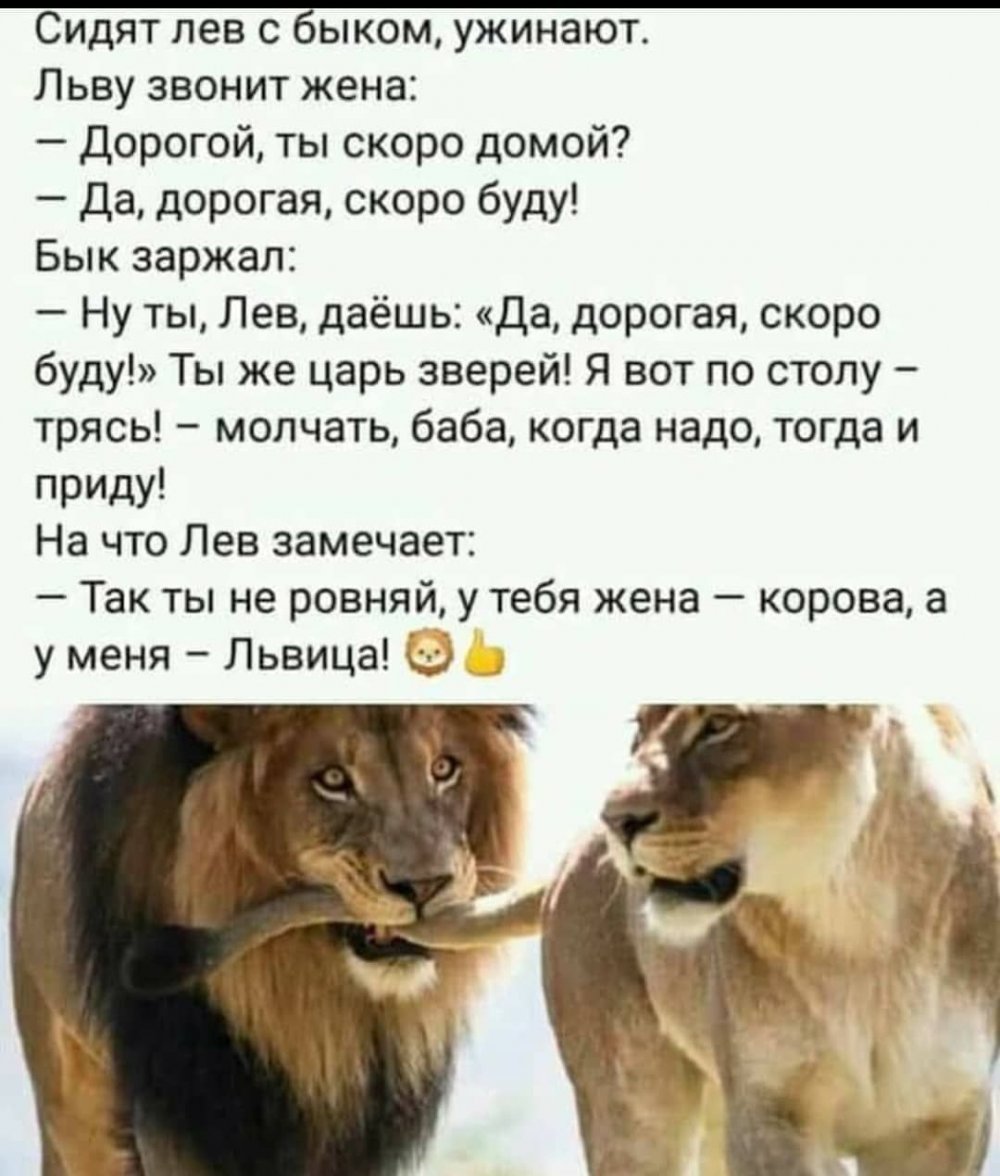 Анекдот про Льва