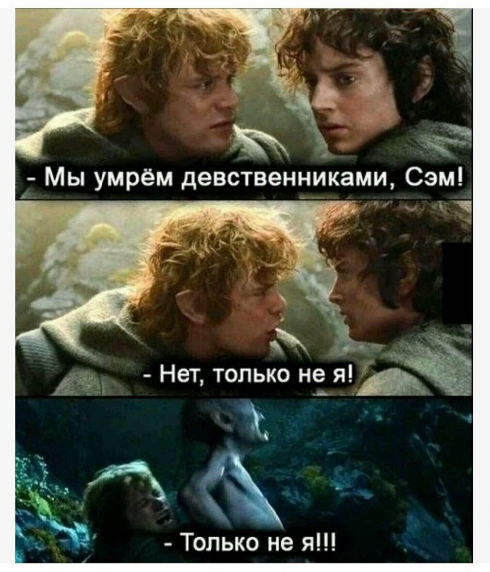 Фродо и Сэм Мем