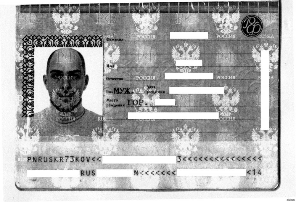Смешные копии паспортов