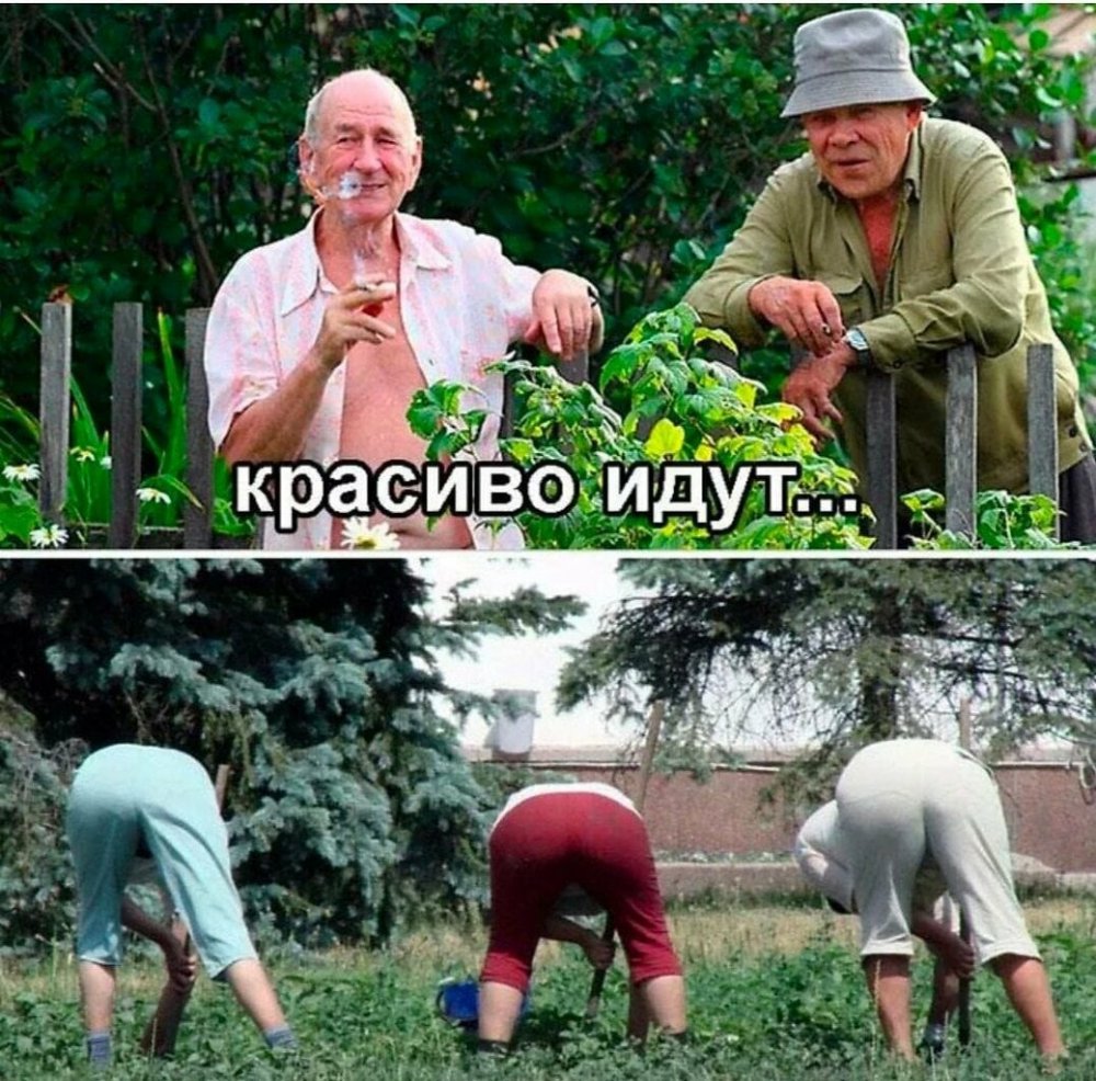 Да прикол