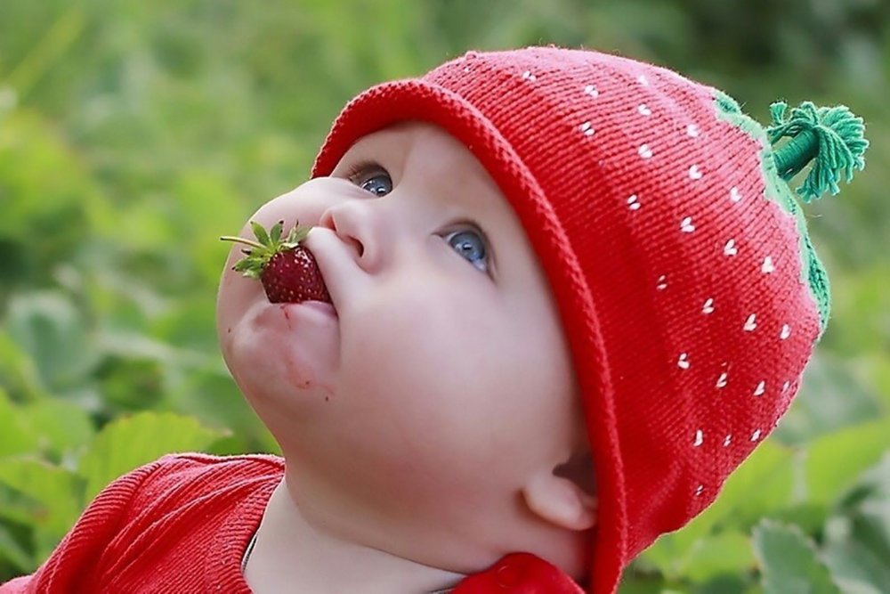 Девочка ест клубнику
