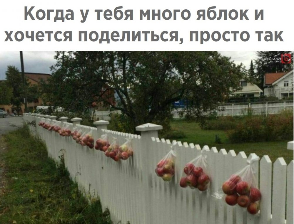 Яблоки на заборе в пакете