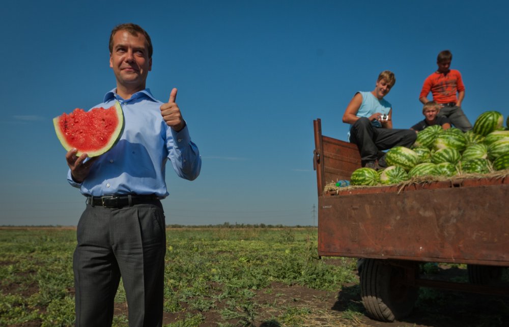 Медведев сельское хозяйство