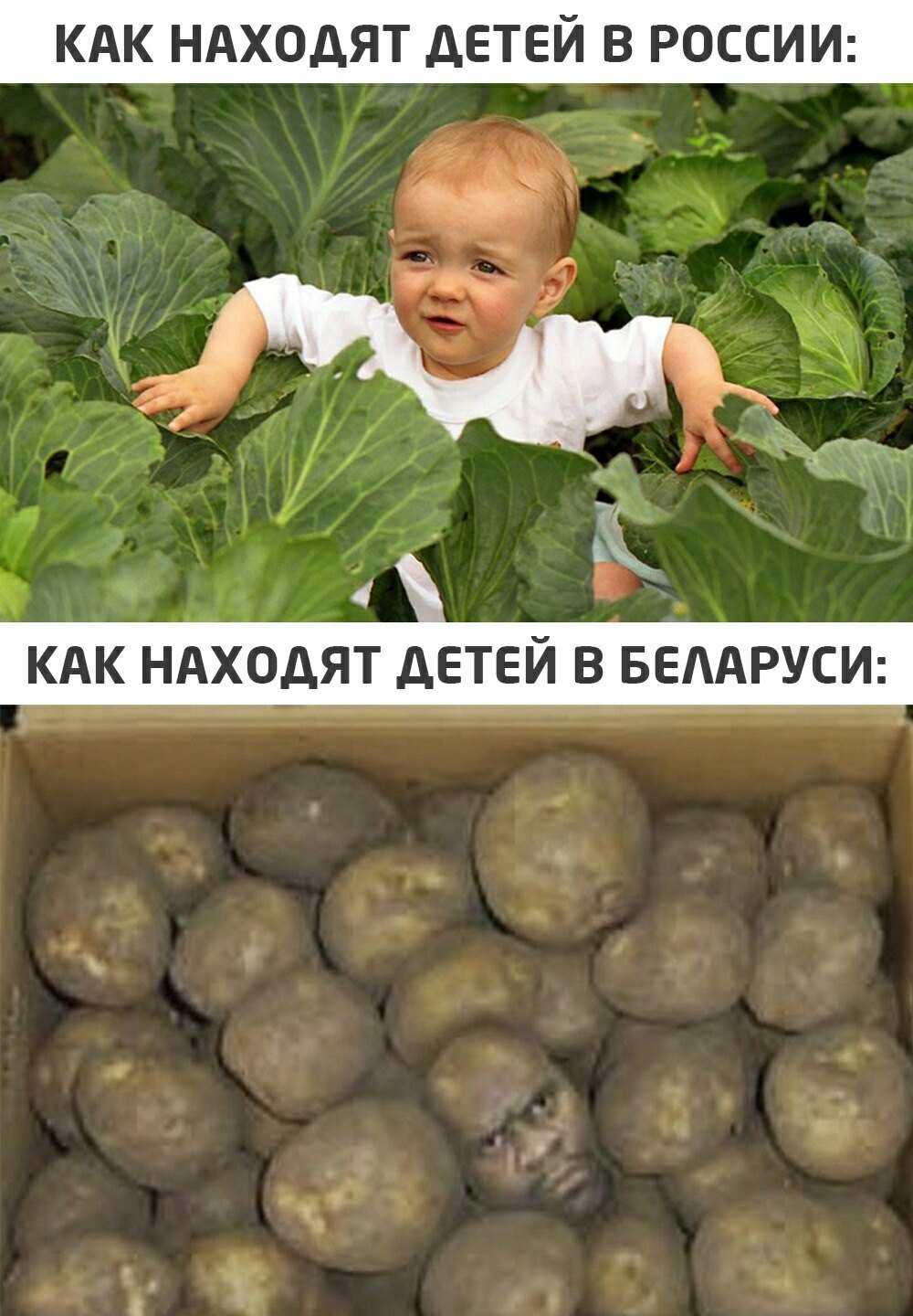 Как находят детей в Белоруссии