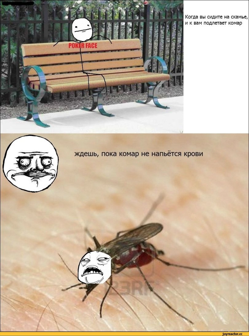 Приколы мемы с комарами