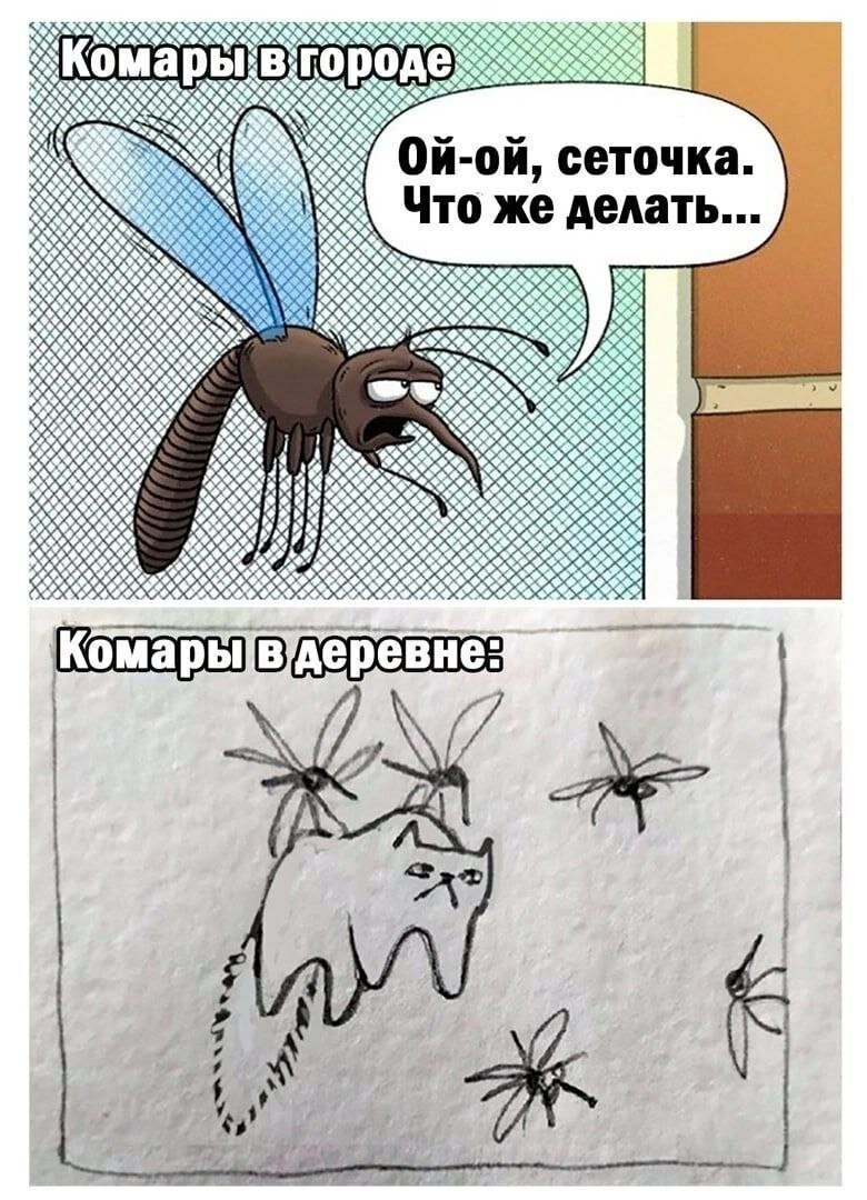 Комары в деревне Мем