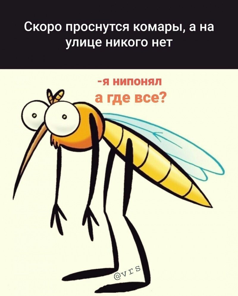 Анекдот про комарика