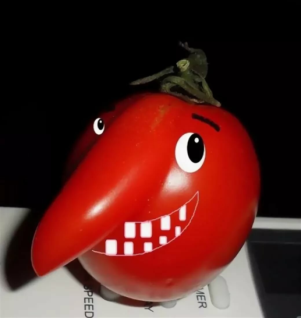 Смешной помидор. Прикольные помидоры. Мистер помидор. Веселый помидор. Смешная помидорка.