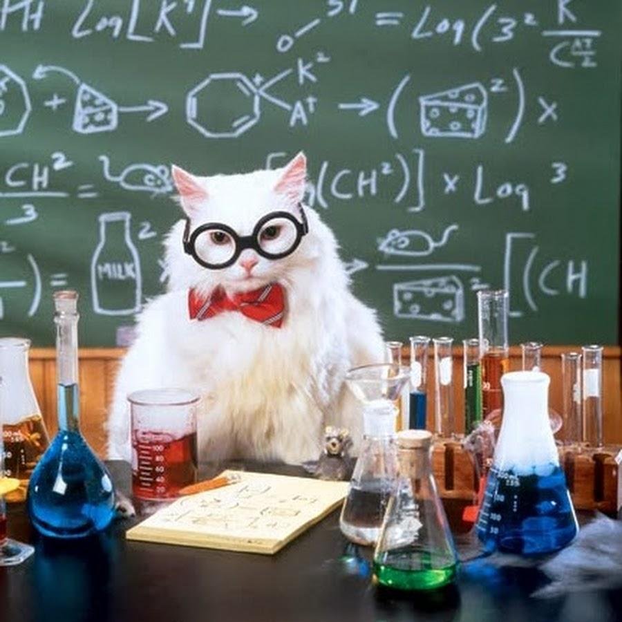 Кот химия