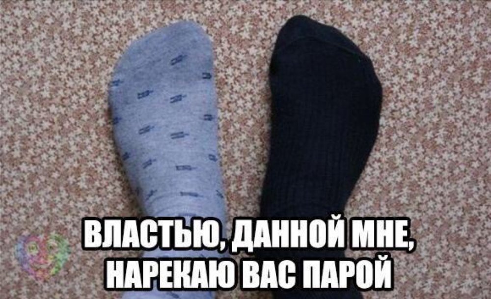 Смешные шутки про носки