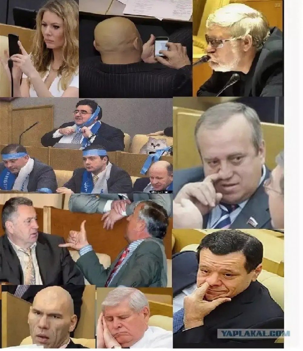 Депутаты идиоты в Думе