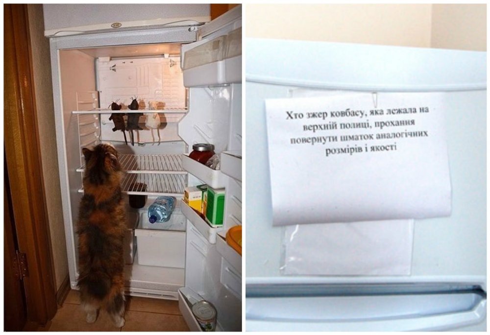 Холодильник прикол