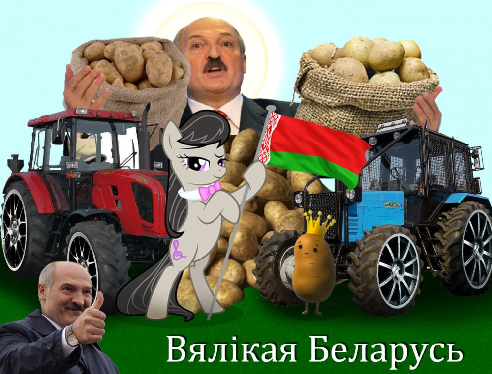 Шутки про белорусов