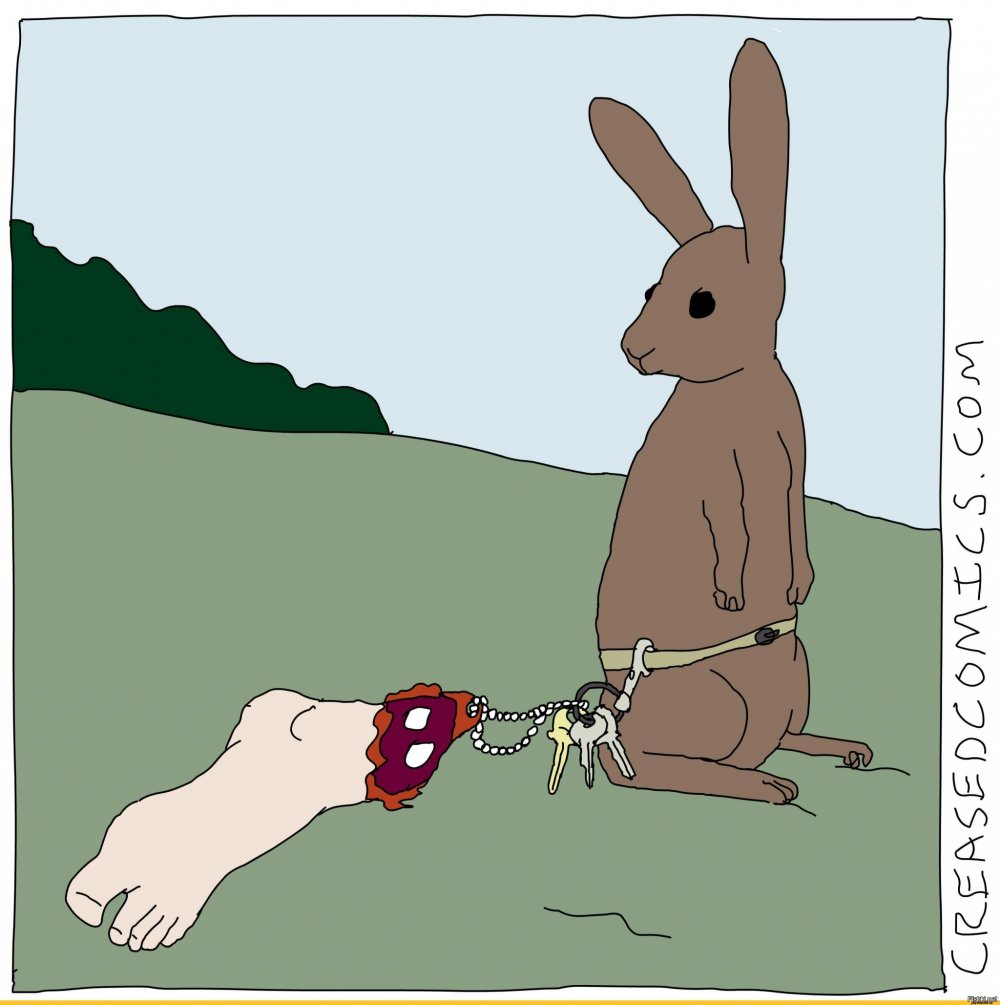 Шутки про кроликов