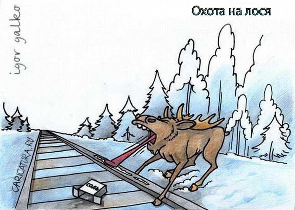 Карикатуры про охотников на лося