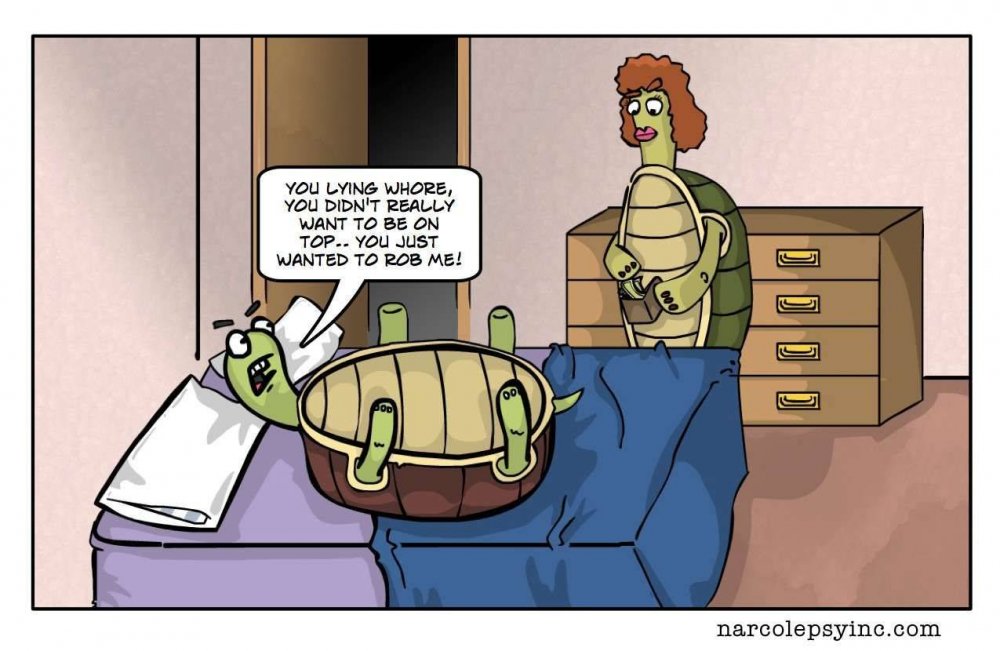 Анекдот про черепаху