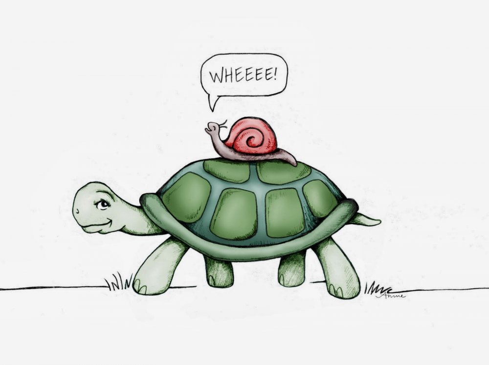 Смешная черепаха рисунок