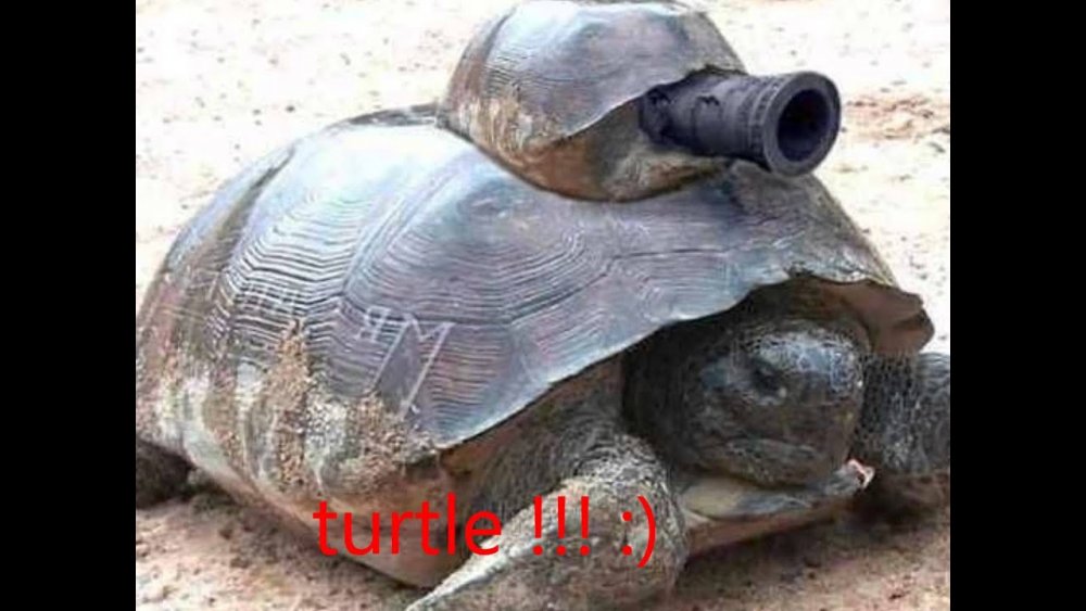 Крутая черепаха