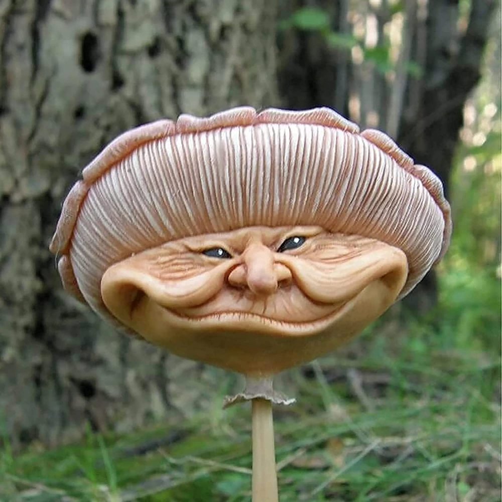 Куклы грибы