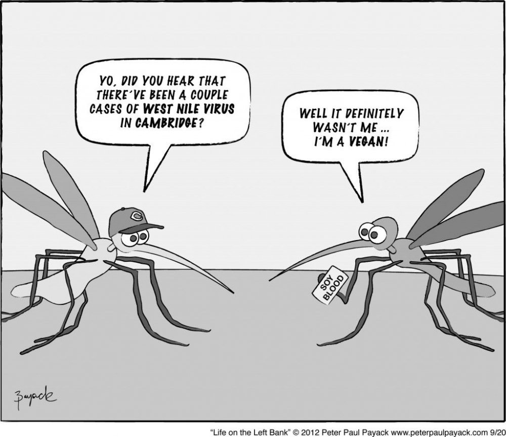Комары эволюционируют