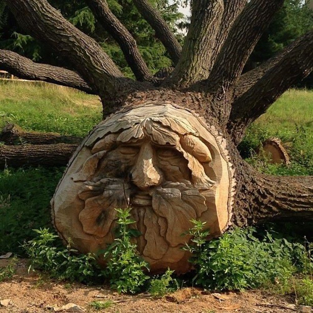 Скульптуры из спиленных деревьев