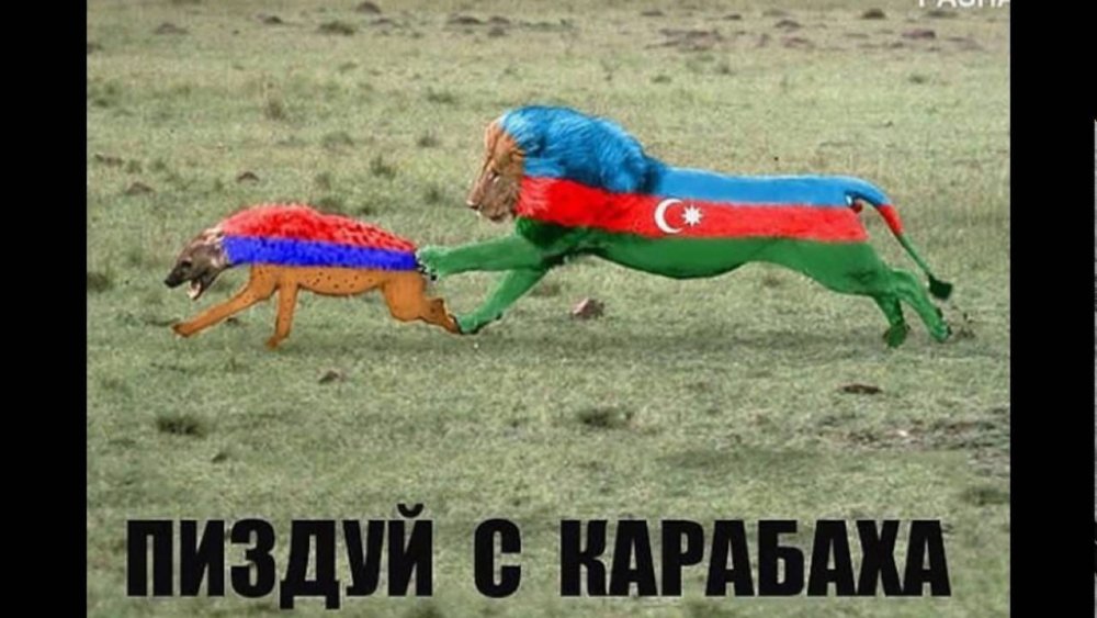 Ильхам Алиев карикатура