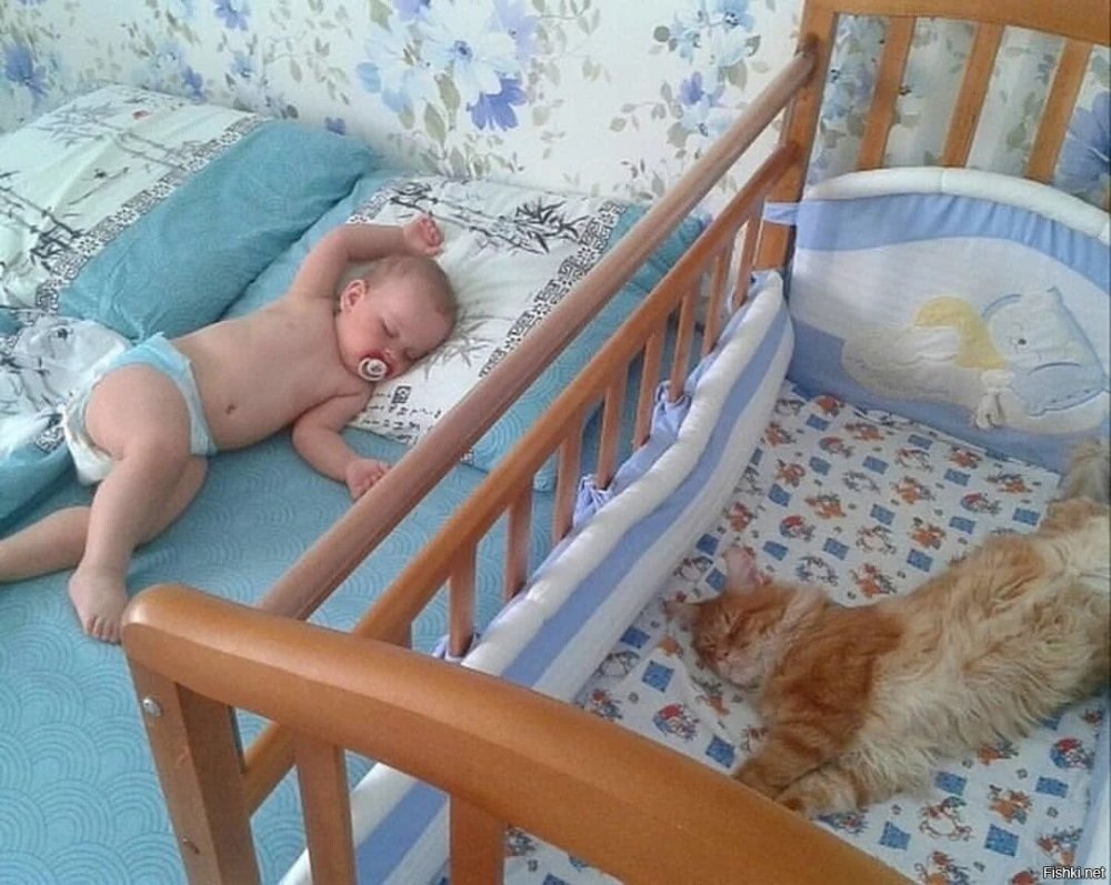 Кот спит в детской кроватке