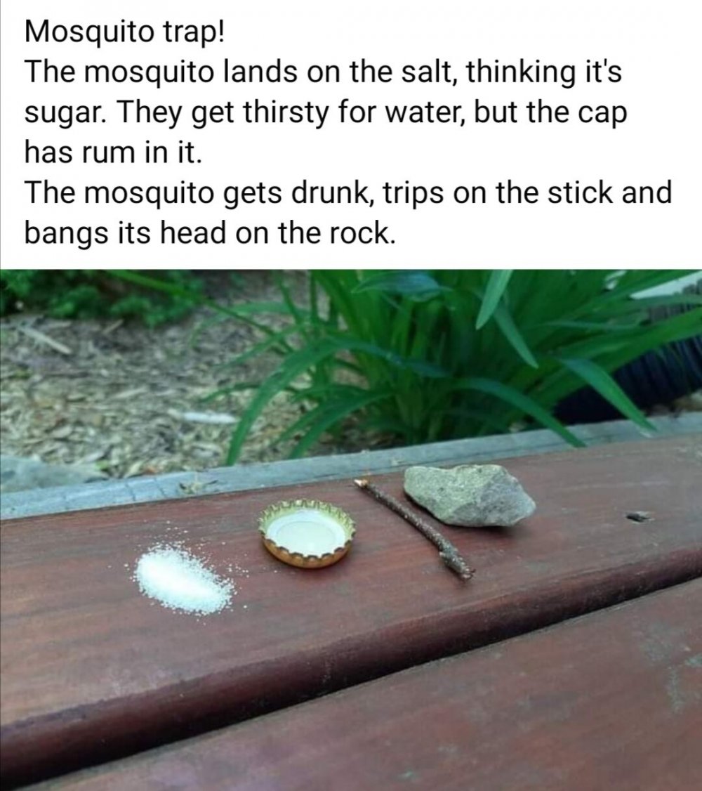 ЛОВУШКА для комаров