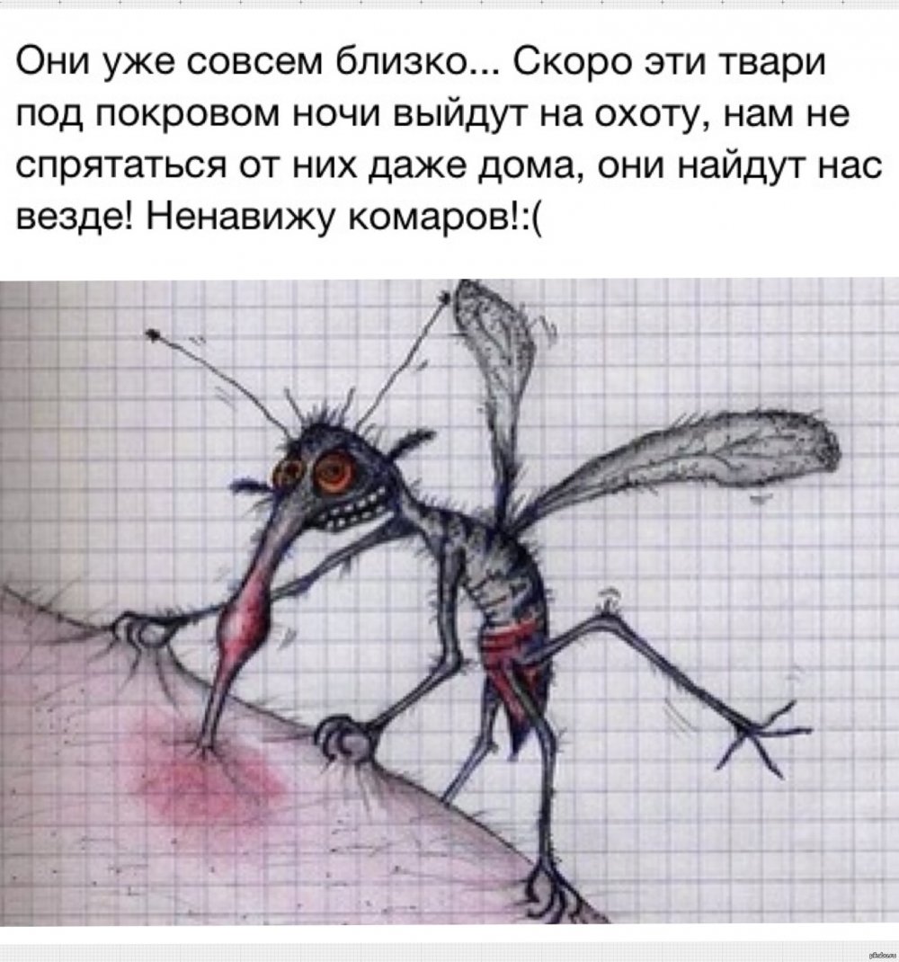 Ненавижу насекомых